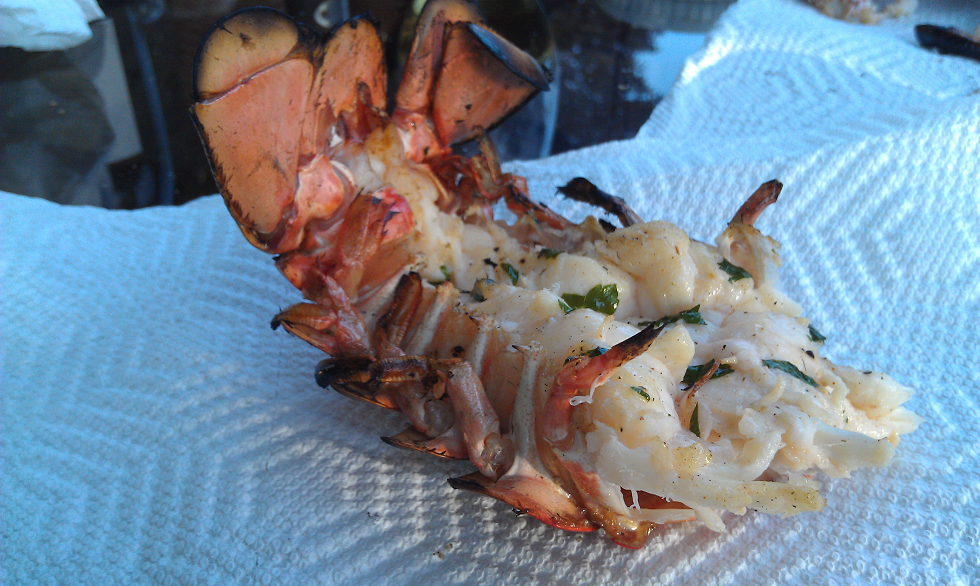Lobster Tail